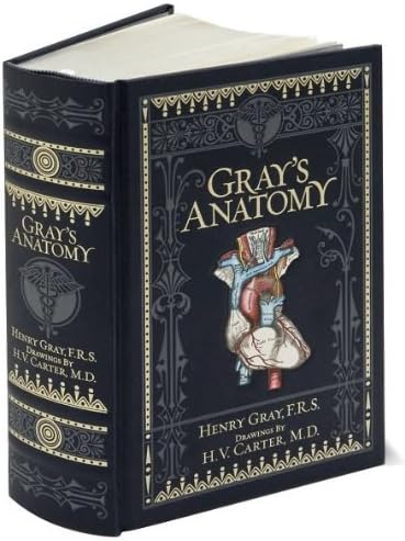 Gray's Anatomy: The Anatomical Basis of Clinical Practice